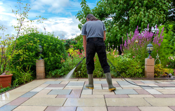 Best Spring Cleaning  in Braddock, PA