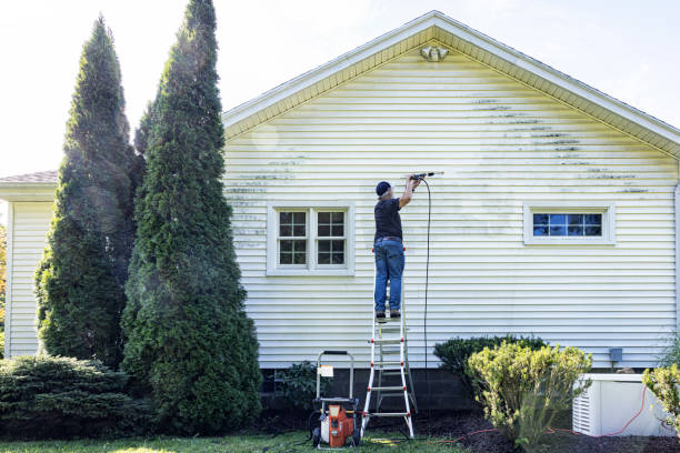 Best Gutter Cleaning  in Braddock, PA